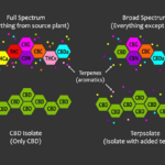 Full Spectrum CBD vs Isolates....and Broad Spectrum CBD